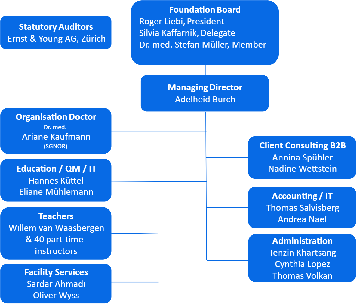 Organizational Chart SanArena